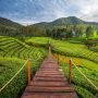 Rekomendasi Wisata Alam Pangalengan untuk Liburan Tahun Baru