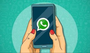 Bebrapa Fungsi Fitur WhatsApp Yang Tersembunyi (sumber ilustrasi: pojoksatu.id)