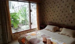 Rayakan Natal Dan Tahun Baru? Berikut Daftar Hotel Murah Di Bogor (sumber gambar: akun Instagram @gioguesthousebogor)