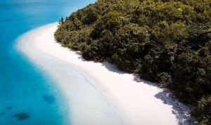 Wisata Alam Pulau Peucang Ujung Kulon Banten (sumber: akun Instagram @paramatour)