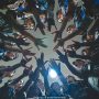 Lirik Lagu River - JKT48 (sumber: akun Instagram @jkt48)