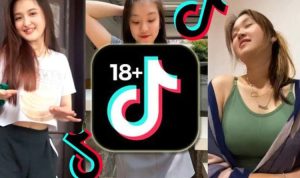 TikTok Banyak Video Viral TikTok 18 Plus Apk Download, Tanpa Harus Buat Akun