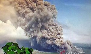 Waspada! Status Gunung Semeru Naik Menjadi Level AWAS, Tetap Hati-Hati