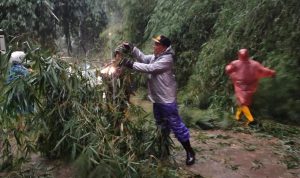 beberapa jalan jalur wisata kawasan Lembang terdapat beberapa titik yang rawan longsor terdapat dua titik di Desa Cibodas