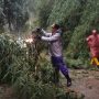 beberapa jalan jalur wisata kawasan Lembang terdapat beberapa titik yang rawan longsor terdapat dua titik di Desa Cibodas