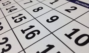 Daftar Hari Libur Nasional dan Cuti Bersama 2023/Pixabay/tigerlily713