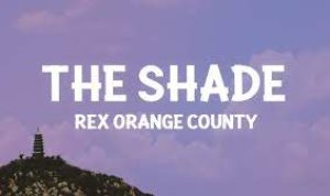 lirik dan terjemahan dari lagu The Shades - Rex Orange Country lirik dan terjemahan dari lagu The Shades - Rex Orange Country