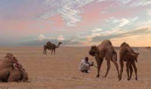 Mengenal Keadaan Jazirab Arab Sebelum Adanya Rasulullah Saw