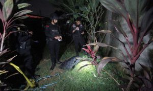 BIKIN GEGER: Anggota Gegana Brimob Kelapa Dua Depok saat mengevakuasi granat aktif yang ditemukan Warga Bogor tepatnya di Kampung Pondok Manggis, Bojonggede, Selasa 20 Desember 2022. (SANDIKA FADILAH/JABAREKSPRES.COM)