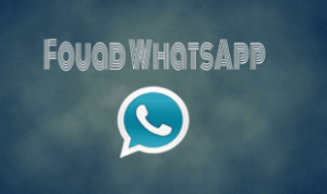 Download Fouad Mod Whatsapp APK Terbaru 2023, Anti-Ban! Download Fouad Whatsapp APK Terbaru 2023, Anti-Ban!