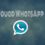 Download Fouad Whatsapp APK Terbaru 2023, Anti-Ban!
