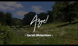 Lirik Dan Terjemah Lagu Angel – Sarah Mclachlan