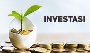 Investasi Menguntungkan Dan Menjanjikan Bagi Para Pemula