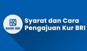 Cara Mudah Pengajuan Pinjaman KUR di BRI
