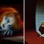 Lirik Paramore - The News Terjemahan dan Arti Lagu Lengkap