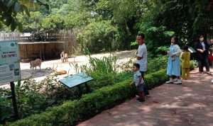 Kapolda Intruksikan Tindak Tegas Pelaku Premanisme di Tempat Wisata