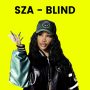 Lirik Lagu Blind - SZA Terjemah Indonesia
