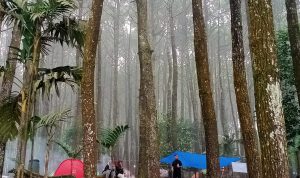 Talaga Surian Camp Park, Tempat Camping Hits Dan Recommended di Kuningan, Cocok untuk Sambut Pergantian Malam Tahun Baru Talaga Surian Camp Park, Tempat Camping Hits Dan Recommended di Kuningan