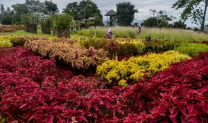 Salah satu tempat wisata di Kabupaten Bogor. (Sandika Fadilah/jabarekspres)