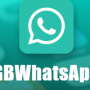 download wa gb