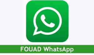 Tips Nyaman Pakai Fouad Whatsapp Anti Bug dan Kadalursa