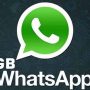 Link Download GB WA WhatsApp V9.52 Apk Pro 2023 Terbaru Anti Banned dan Gratis, Custom Tema Makin Banyak!