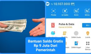 saldo dari pemerintah