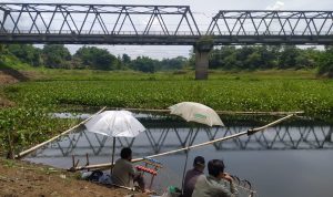 Para pemancing mengaku kesulitan mendapatkan ikan dengan keberadaan eceng gondok.
