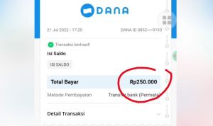 Spesial Imlek! Dapat Angpao Saldo DANA Gratis Langsung Cair Rp400 Ribu Lewat Aplikasi Penghasil Uang, Coba Sekarang