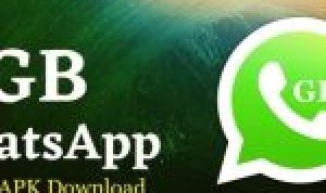 Download WA GB Pro terbaru, anti banned dengan fitur canggih.