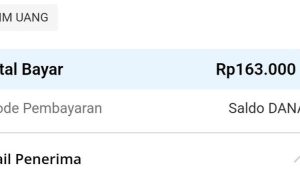 Cus Langsung Cobain! Dapat Saldo DANA Gratis Langsung Cair Rp300 Ribu Lewat Aplikasi Penghasil Uang