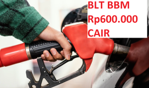 BLT BBM Rp600 Ribu Masih Cair? Ini Cara Dapatkannya