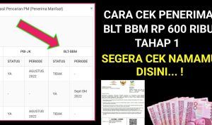 Saldo DANA Gratis Rp 600 Ribu dari Subsidi BBM Cair Lagi! Cek Identitas Kamu di Sini Cara cek daftar identitas penerima saldo DANA dari subsidi BBM sebesar Rp 600 ribu.