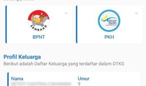 SIAPKAN BERKAS: Pendaftaran akan segera dibuka untuk bantuan saldo DANA gratis Rp 2 juta dari pemerintah. (ILUSTRASI)