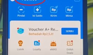 Streaming Musik Dapat Saldo DANA Gratis Rp 700 Ribu! Ini Triknya Dapat Saldo DANA Gratis sebesar Rp 700 ribu. (ILUSTRASI)