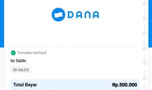 Dapat saldo DANA gratis Rp 500 ribu dari website. (ILUSTRASI)