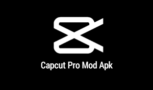 Download Video CapCut tanpa Watermark Gratis 2023