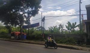 Lampu PJU di Kawasan Padalarang Mati, Ini Segudang Keluhan Warga dan Pengemudi Saat Malam Hari Pengendara sepeda motor saat melewati PJU yang menyala di Jalan Raya Ciburuy, Padalarang. Sementara beberapa PJU lainnya dalam kondisi mati. (Akmal Firmansyah/JabarEkspres)