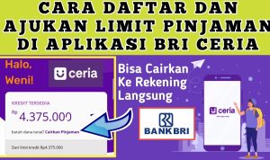PINJOL RESMI: Salah seorang nasabah terbukti berhasil mengajukan pinjol Bank BRI sebesar Rp 4.375.000.