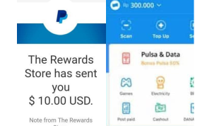 saldo dana gratis langsung cair lewat isi survey doang