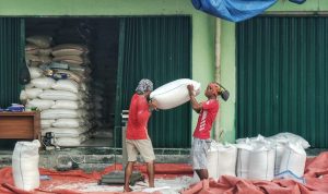 Pekerja di Kios beras Pasar Induk Cipinang tengah melakukan penataan beras