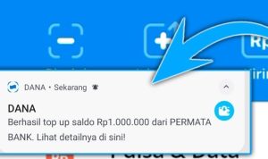 Ini adalah bukti pencairan bantuan saldo DANA gratis sebesar Rp 1.000.000 dari pemerintah. (ILUSTRASI)