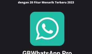 Download WA GB Pro APK v8.23 2023 dengan 20 Fitur Terbaru, Gratis dan Bebas Iklan