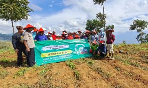 Relawan Ganjar Pranowo Sebar 10 Ribu Bibit Pohon Buah di Lahan Kritis KBU Untuk mengatasi lahan kritis di wilayah Bandung Utara, Relawan Ganjar Pranowo menggelar kegitan penghijauan dengan menanam pohon.