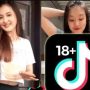 TikTok Video Viral Tersedia Setiap Saat! Download TikTok 18+ Aman Tanpa VPN! Video Viral Tersedia Setiap Saat!