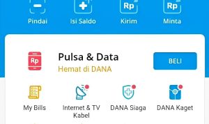 Aplikasi Penghasil Saldo DANA Hingga Rp 600.000 Sebulan