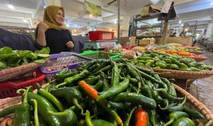 Harga Cabai Makin Pedas Harga Cabai Makin Pedas