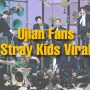 Link Ujian Fans Stray Kids Viral Via Google Form
