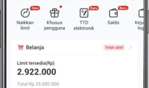 Cara Cairkan Limit Akulaku Ke Saldo DANA Aman! Dijamin Cair?
