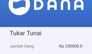 Aplikasi Penghasil Saldo DANA Gratis Langsung Cair